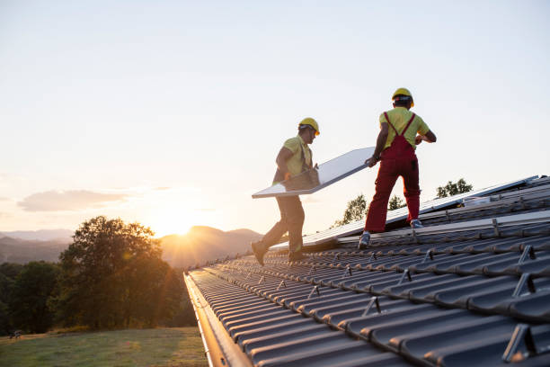 Best Roof Moss and Algae Removal  in Constantine, MI